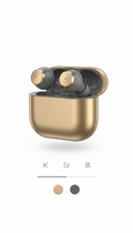 Wireless Earbuds UI With Metallic Accents